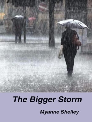 cover image of The Bigger Storm
